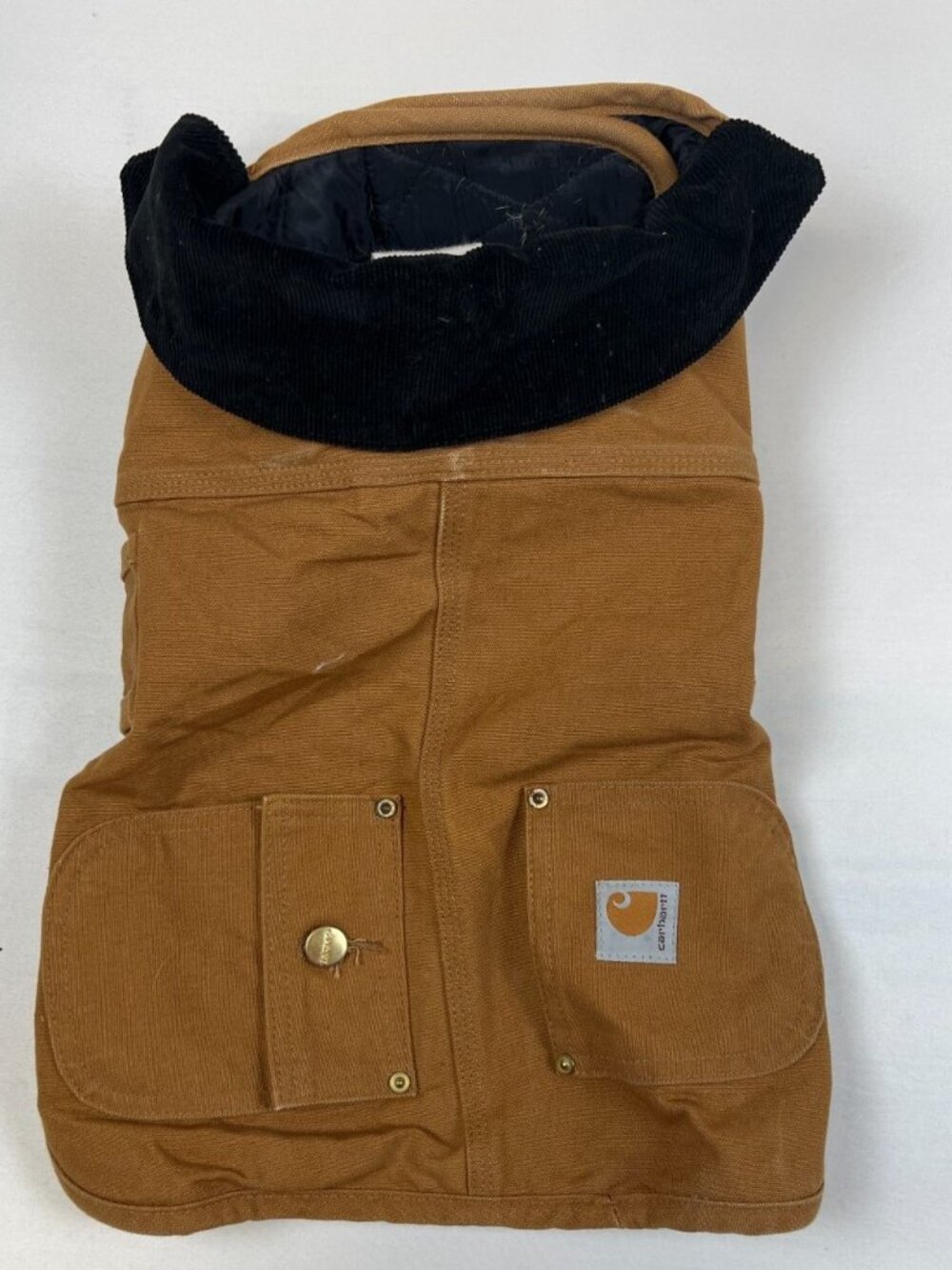 Carhartt Brown Dog Jacket with Black Collar